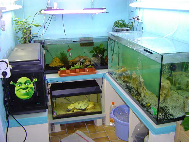 la fishroom